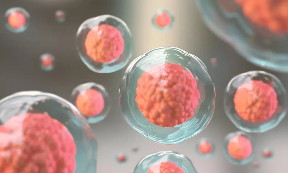 Stem Cell Therapy for Infertility: Rejuvenating Ovarian and Testicular Failure in Pakistan